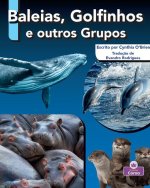Baleias, Golfinhos E Outros Grupos (Whale, Dolphin, and Other Pods)