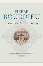 Economic Anthropology: Lectures at the College de France, 1992 1993 Cloth