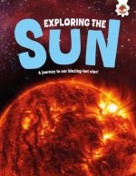 Exploring the Sun