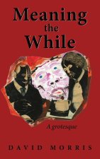 Meaning The While