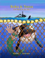 Roku & Tanza  Get Stuck in the Net!