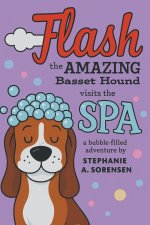 Flash the Amazing Basset Hound