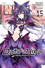 Date a Live, Vol. 15 (Light Novel)