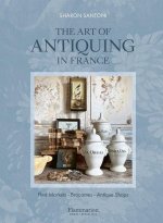 Art of Antiquing in France