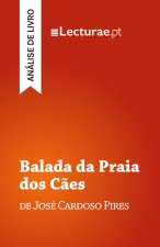 Balada da Praia dos Cães - José Cardoso Pires (análise de livro)