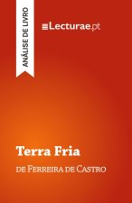 Terra Fria - Ferreira de Castro (análise de livro)