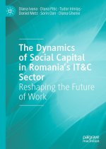 The Dynamics of Social Capital in Romania's IT&C Sector