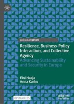 Resilience, Business-Policy Interaction, and Collective Agency