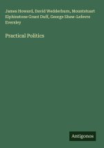 Practical Politics