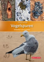 Vogelspuren