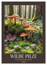 WILDE PILZE - Essbare, giftige und seltene Pilzarten (Wandkalender 2026 DIN A4 hoch), CALVENDO Monatskalender