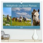 Wildpferde am Kruzi Plateau (hochwertiger Premium Wandkalender 2026 DIN A2 quer), Kunstdruck in Hochglanz
