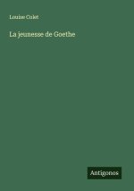La jeunesse de Goethe
