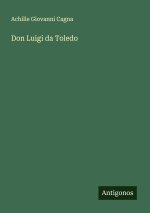 Don Luigi da Toledo