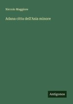 Adana citta dell'Asia minore