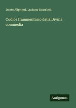 Codice frammentario della Divina commedia