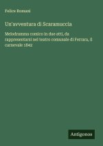 Un'avventura di Scaramuccia