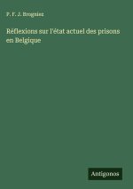 Réflexions sur l'état actuel des prisons en Belgique
