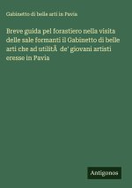 Breve guida pel forastiero nella visita delle sale formanti il Gabinetto di belle arti che ad utilitÃ  de' giovani artisti eresse in Pavia