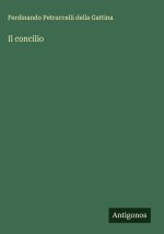 Il concilio