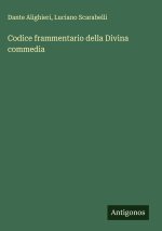 Codice frammentario della Divina commedia