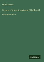 Carrara e la sua Accademia di belle arti