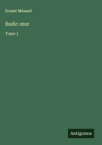 Budic-mur