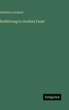 Einführung in Goethes Faust