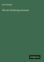 Wie der Weltkrieg entstand