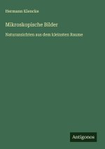 Mikroskopische Bilder