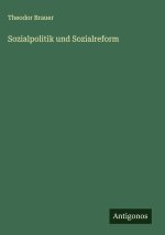 Sozialpolitik und Sozialreform