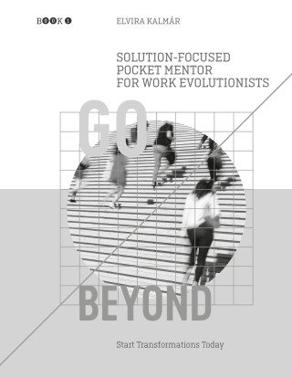 Go Beyond: Solution-Focused Pocket Mentor for the Work Evolutionists