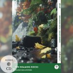 The Roaming Rocks - Englische Krimi-Lektüre A1-A2 (+ Audio-Online)