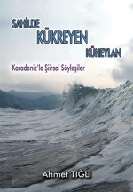 Sahilde Kükreyen Küheylan