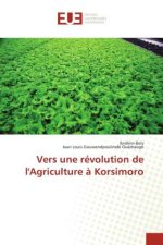 Vers une révolution de l'Agriculture à Korsimoro