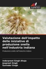 Valutazione dell'impatto delle iniziative di produzione snella nell'industria indiana