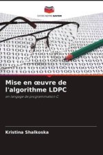 Mise en oeuvre de l'algorithme LDPC