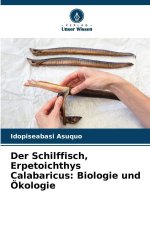 Der Schilffisch, Erpetoichthys Calabaricus: Biologie und Ökologie