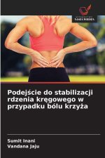 Podej¿cie do stabilizacji rdzenia kr¿gowego w przypadku bólu krzy¿a