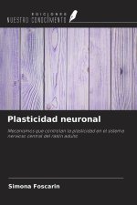 Plasticidad neuronal