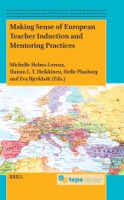 Making Sense of European Teacher Induction and Mentoring Practices