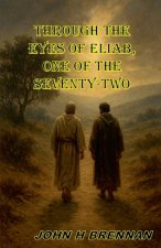 Through the Eyes of Eliab, One of the Seventy Two
