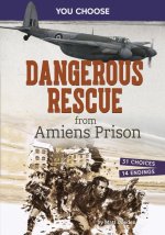 Dangerous Rescue from Amiens Prison
