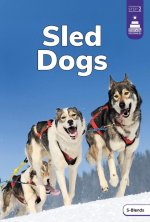 Sled Dogs