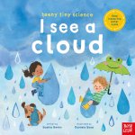Teeny Tiny Science: I See a Cloud