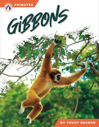 Gibbons
