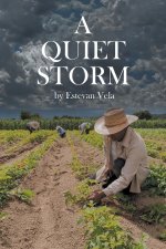 A Quiet Storm