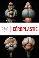 CEroplastie /franCais