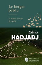 Le berger perdu