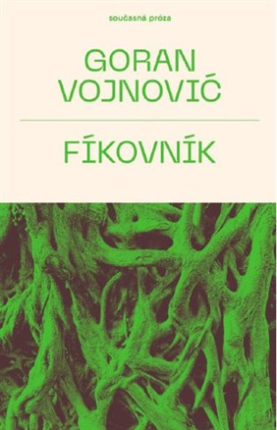 Fíkovník
